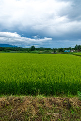 Obraz premium 御牧原