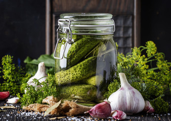Homemade marinated or pickled cucumbers with dill, garlic and spices in big glass jar on rustic...
