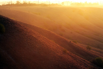 autumn field in the early morning in the sunlight