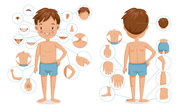 Boy body front view and rear view. Children with different parts of the body for teaching. Body details.The diagram shows the various external. parts of the body. Cartoon vector illustration isolated 