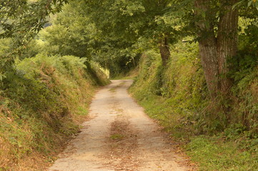 paisajes de fonsagrada lugo galicia