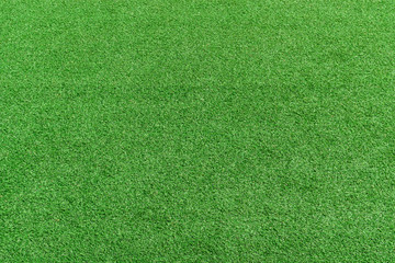 Green grass floor naturally texture. Ideal for background and design.