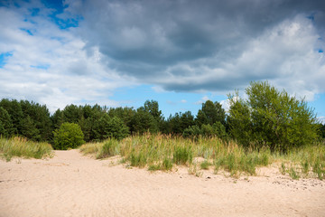 Baltic sea shore in Latvia. Sand dunes with pine trees and clouds