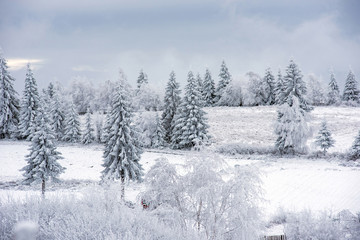 Fairy snowy winter Christmas landscape