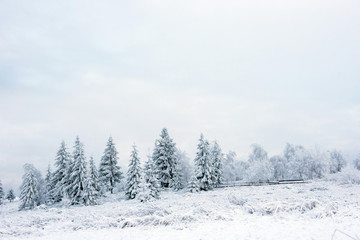 Fairy snowy winter Christmas landscape