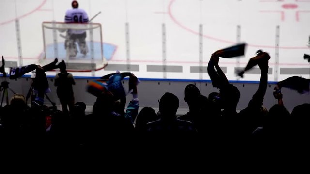 Silhouettes of fans in the background of a hockey stadium.