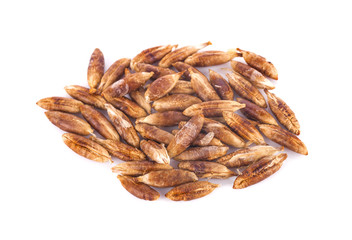 dried fruits seeds from date palm isolated on white background