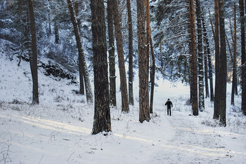Fototapeta premium Elderly man skiing in forest