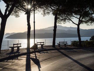 Bänke und Bäume mit Straße im Gegenlicht an der Küste mit Blick auf das Meer, Capoliveri, Elba