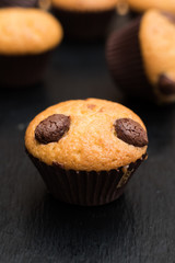Chocolate chip muffins with black background.