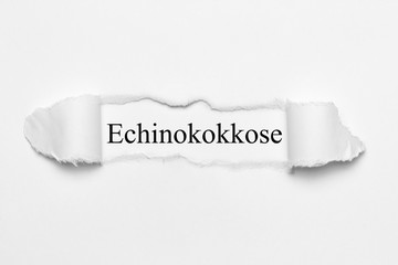 Echinokokkose auf weißen gerissenen Papier