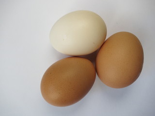 Chicken eggs on white background