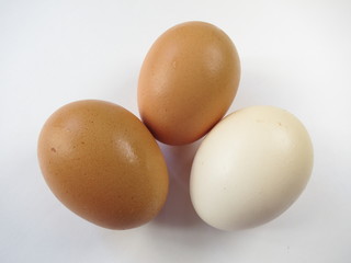 Chicken eggs on white background