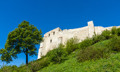 Fototapeta na wymiar ruins of the castle in Kazimierz Dolny