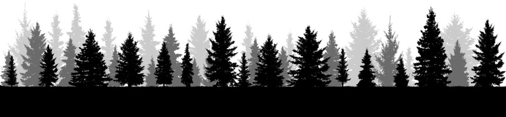 Fototapeta na wymiar Trees, silhouette of forest, vector