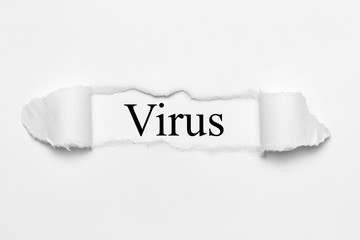 Fototapeta premium Virus auf weißen gerissenen Papier