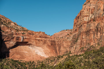 Fototapeta premium Landscape in Zion National Park