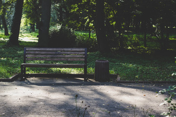 park outdoor place with asphalt concrete road for walking and wooden bench in morning sunny time with contrast and shadows