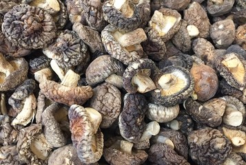 Dried Shiitake Mushrooms.Flavorful shiitake mushrooms are like a foundation of Asian cooking. They have an intense flavor of cooking, used in soups, braised, and steamed dishes.