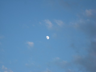 the moon in the evening