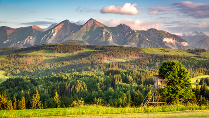 Naklejka premium Stunning Tatra mountains at sunset in summer