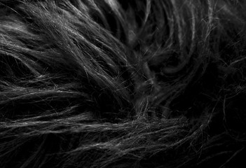 Black soft natural animal wool texture background. Skin wool. Close-up texture of dark fluffy fur. Gray plush