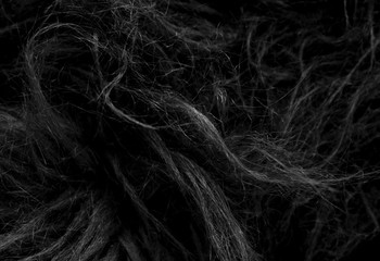Naklejka premium Black soft natural animal wool texture background. Skin wool. Close-up texture of dark fluffy fur. Gray plush