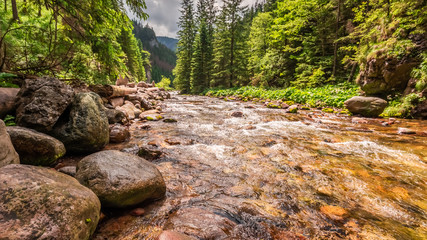 Beautiful small stream with rocks in Koscieliska valley, Tatra Mountains