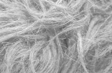 White soft natural animal wool texture background. Skin wool. Close-up texture of light fluffy fur. Plush