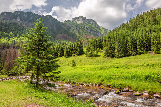 Fototapeta Stunning small stream in Koscieliska valley, Tatra mountains