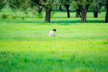 A young girl is resting on a green glade. A woman is reading a book in nature. Romantic landscape, fresh air, open countryside