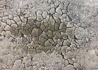dry cracked earth