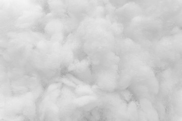 Fototapeta White cotton texture is soft, fluffy wadding background obraz