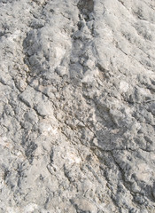 Stone texture. Surface of a giant boulder close up