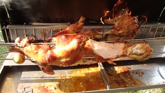 Roasting piglet on the split firewood, Grilled pig,