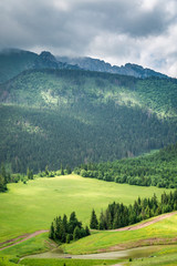 Obraz premium Green valley and cloudy Tatra Mountains, Slovakia