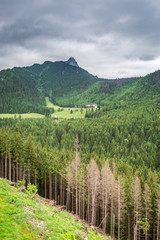 Top view of green valley in Tatra mountains, Poland