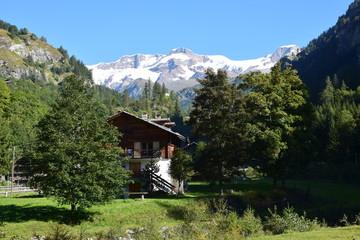 Fototapeta premium Monte Rosa (visto dalla valle di Gressoney)