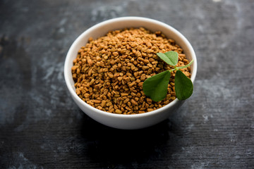 Fenugreek Seeds or Methi Dana served in a bowl, selective focus