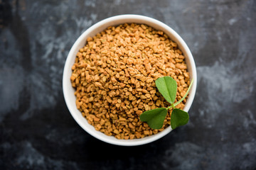 Fenugreek Seeds or Methi Dana served in a bowl, selective focus