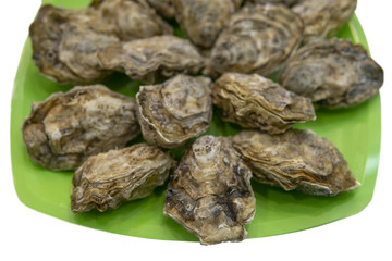 Fresh, closed oysters on a plate.