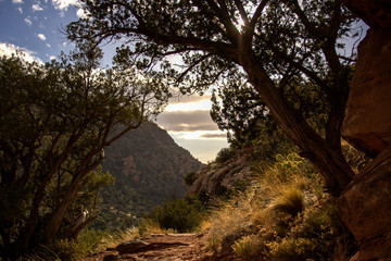 Grand Canyon Havasu Falls