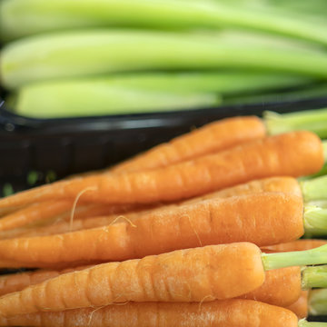 Ripe, orange carrots.