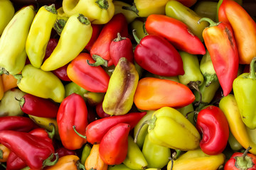 colorful peppers on display at the market