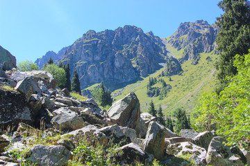 rocks and stones neighbors with nature: grass and trees