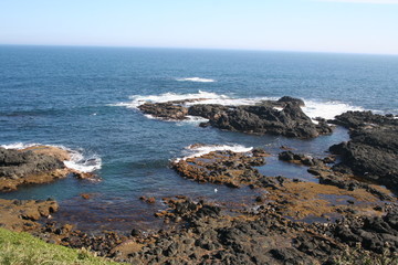 beautiful coastline at the nobbies, phillip island, victoria
