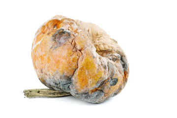 Rotten mumpkin isolated on white background