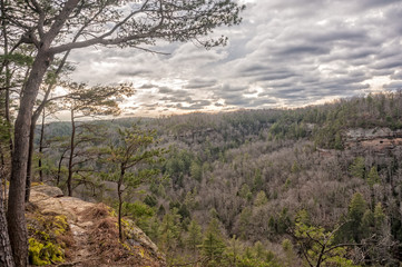 Red River Gorge