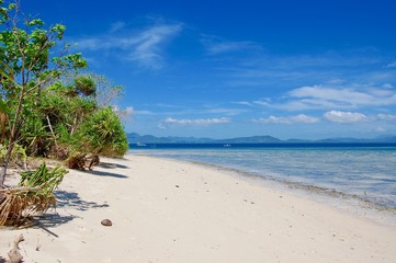A tropical, isolated island in the Phillipines