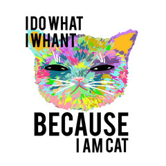 Rainbow cat with slogan. Because i am cat. For print, baby clothes, t shirt, child or wrapping paper. Kids apparel